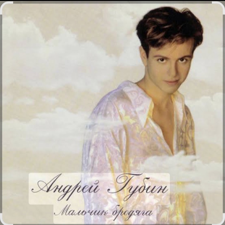  Андрей Губин - Мальчик бродяга