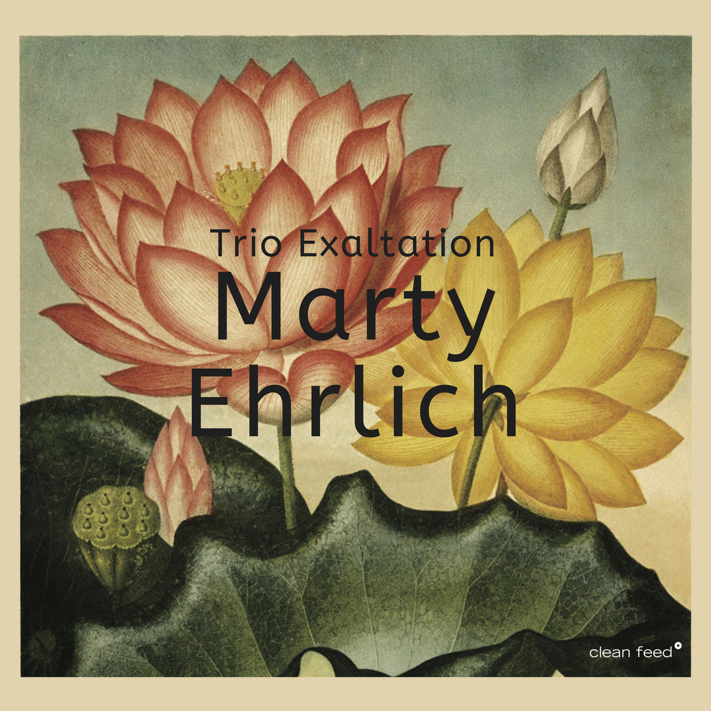  Marty Ehrlich - Stone