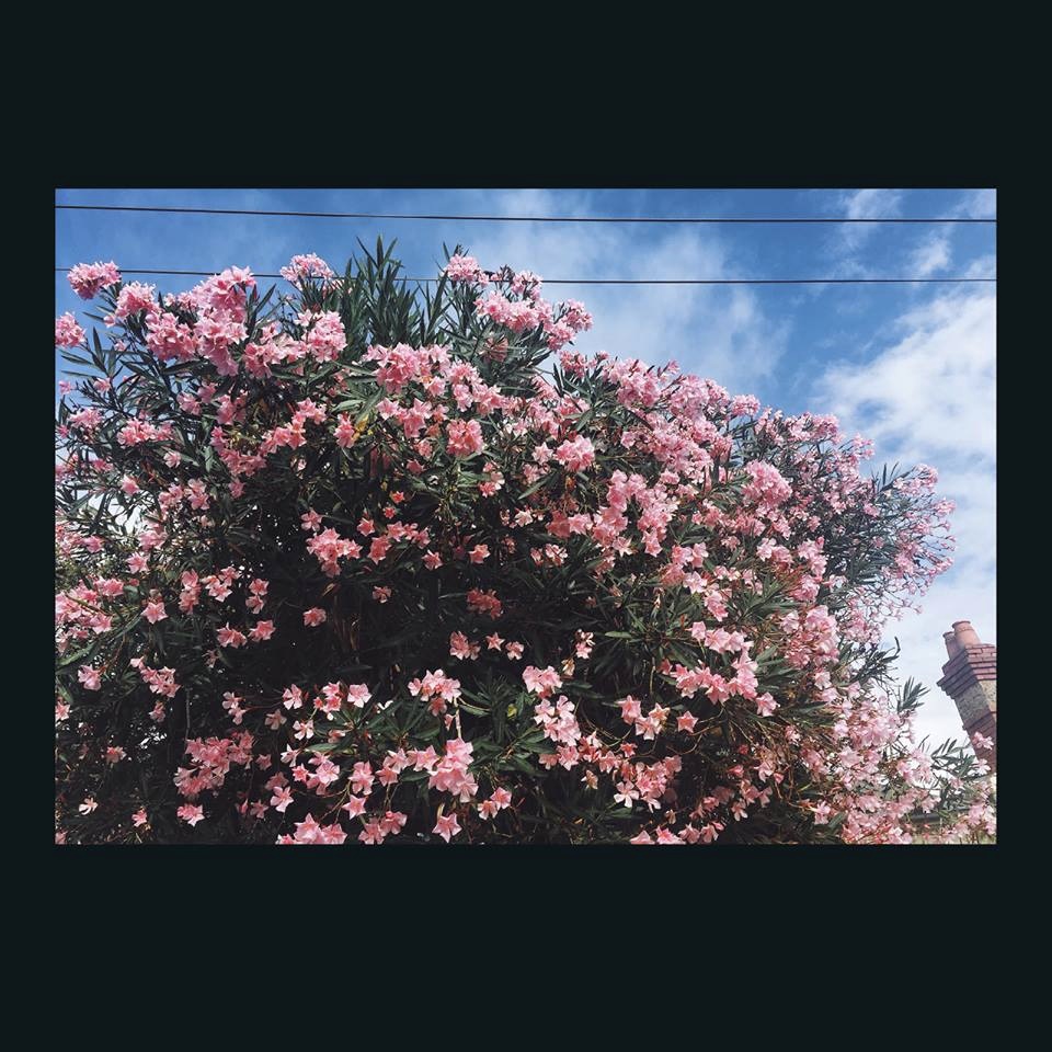  Ceres - Happy In Your Head