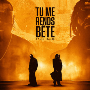  GIMS & Damso - TU ME RENDS BÊTE