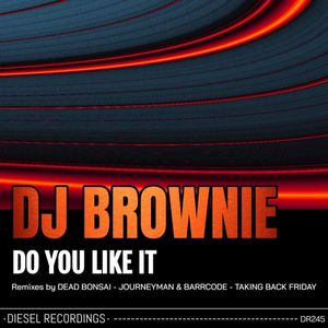  DJ Brownie - Do You Like It