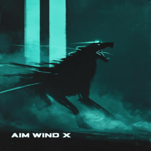  AIM WIND X & AIM WIND - Run