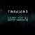Timbaland feat. Justin Timberlake - Carry Out