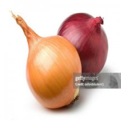 internetcafe247 - funny onion song