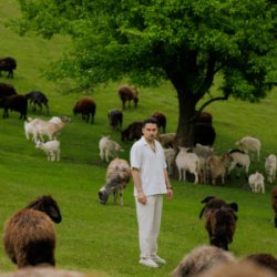 ��� - �� ����