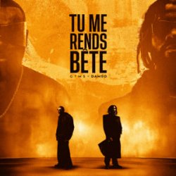 GIMS & Damso - TU ME RENDS BÊTE