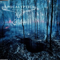 Life Burns