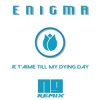 ENIGMA - Je T'aime Till My Dying Day (NJ Remix)