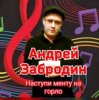 Андрей Забродин - Разбегайтесь мусора, парочка гуляет