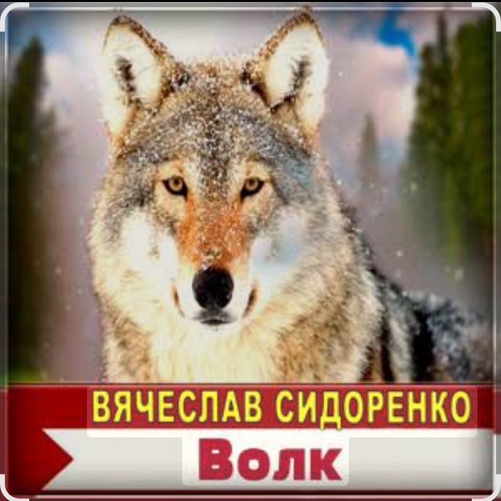  Вячеслав Сидоренко - Волк