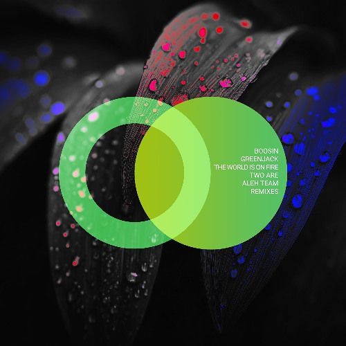  Boosin & Greenjack - The World Is on Fire (Aleh Team Remix)