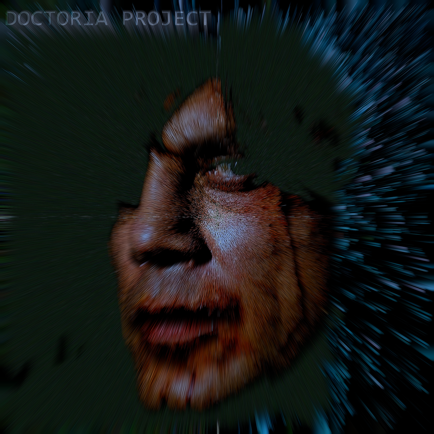  DOCTORIA project - Плоть