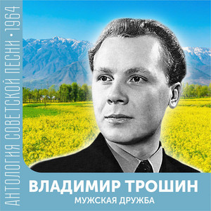  Владимир Трошин - Ты не печалься