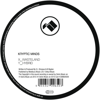  Kryptic Minds - Hybrid