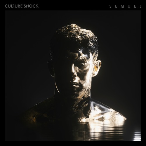  Sub Focus feat. Culture Shock - Move Higher