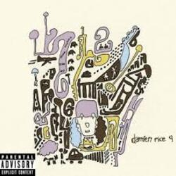  Damien Rice - Older Chests