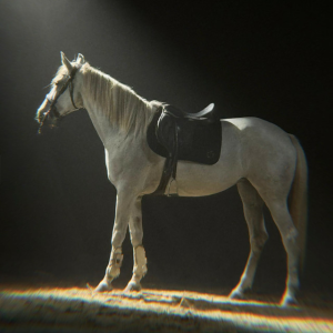  ADI & Emilian - Trecator