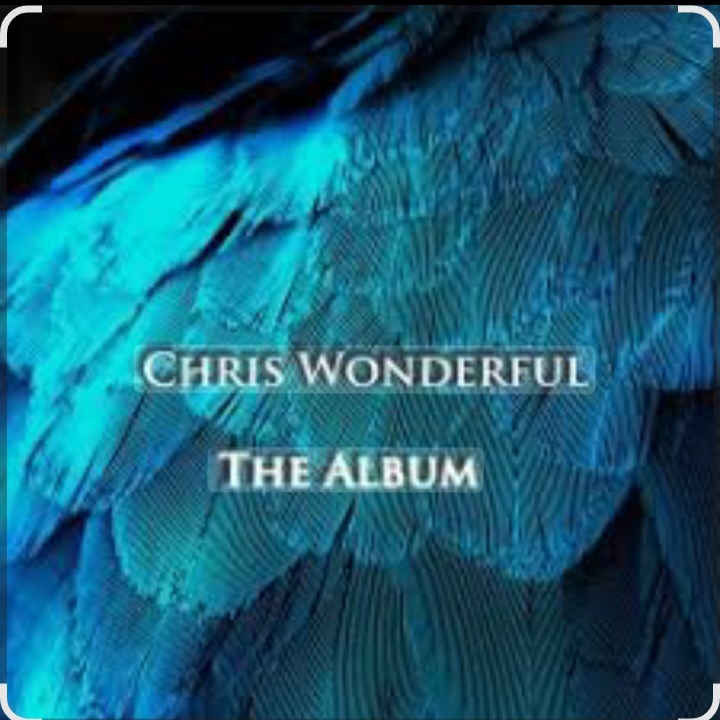  Chris Wonderful - Anisotropic Universe