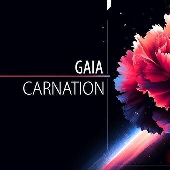  Gaia - Carnation