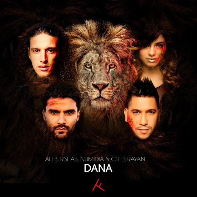  Ali B, Cheb Rayan & R3hab feat. Numidia - Dana