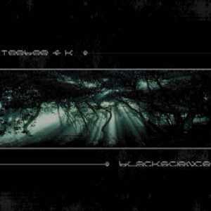  Teebee and K - Mindshadows