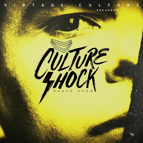  Vintage Culture - Culture Shock
