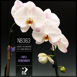I Will Remember (Original mix)