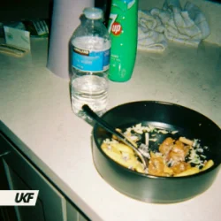 Casey Club - Voicenote Violence