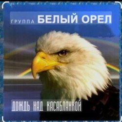 ����� ���� - ����� ��� �����������