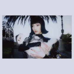 Faouzia - PEACE & VIOLENCE