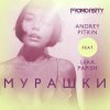Andrey Pitkin feat. Lera Papish - Мурашки