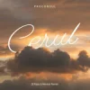 Cover Proconsul - Cerul (Dj Razz & Mentol Remix) Proconsul - Cerul (Dj Razz & Mentol Remix)