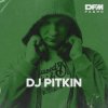 Dj Pitkin - RАЙ