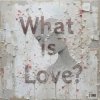 Cover Haddaway - What Is Love (Serge Gri Tech ver cover) Haddaway - What Is Love (Serge Gri Tech ver cover)