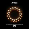 Cover Sabura - Fukushima (Fantoo & Dual DeStress Remix) Sabura - Fukushima (Fantoo & Dual DeStress Remix)