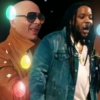 Pitbull feat. Stephen Marley - Options