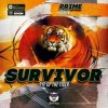 Cover Survivor - Eye Of the tiger (Prime Remix) Survivor - Eye Of the tiger (Prime Remix)