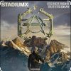 Cover StadiumX - It's Not Right But It's Okay StadiumX - It's Not Right But It's Okay