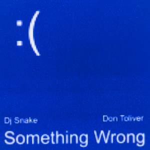  DJ Snake & Don Toliver - Something Wrong
