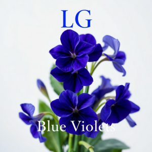  Lali Gordzamashvili - ლურჯი იები-Blue Violets