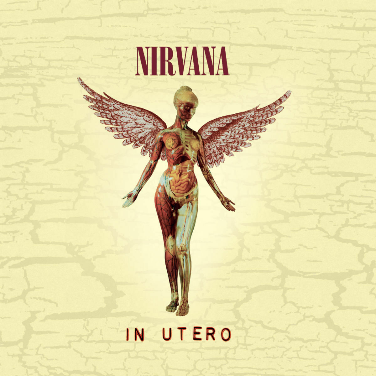  Nirvana - Radio Friendly Unit Shifter