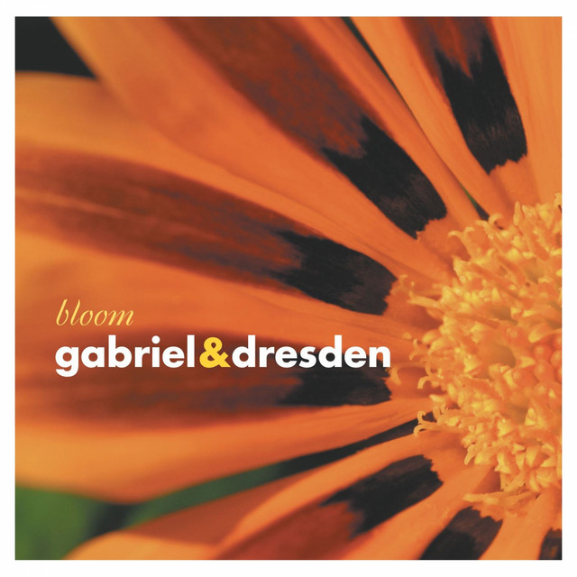  Gabriel & Dresden - Lament