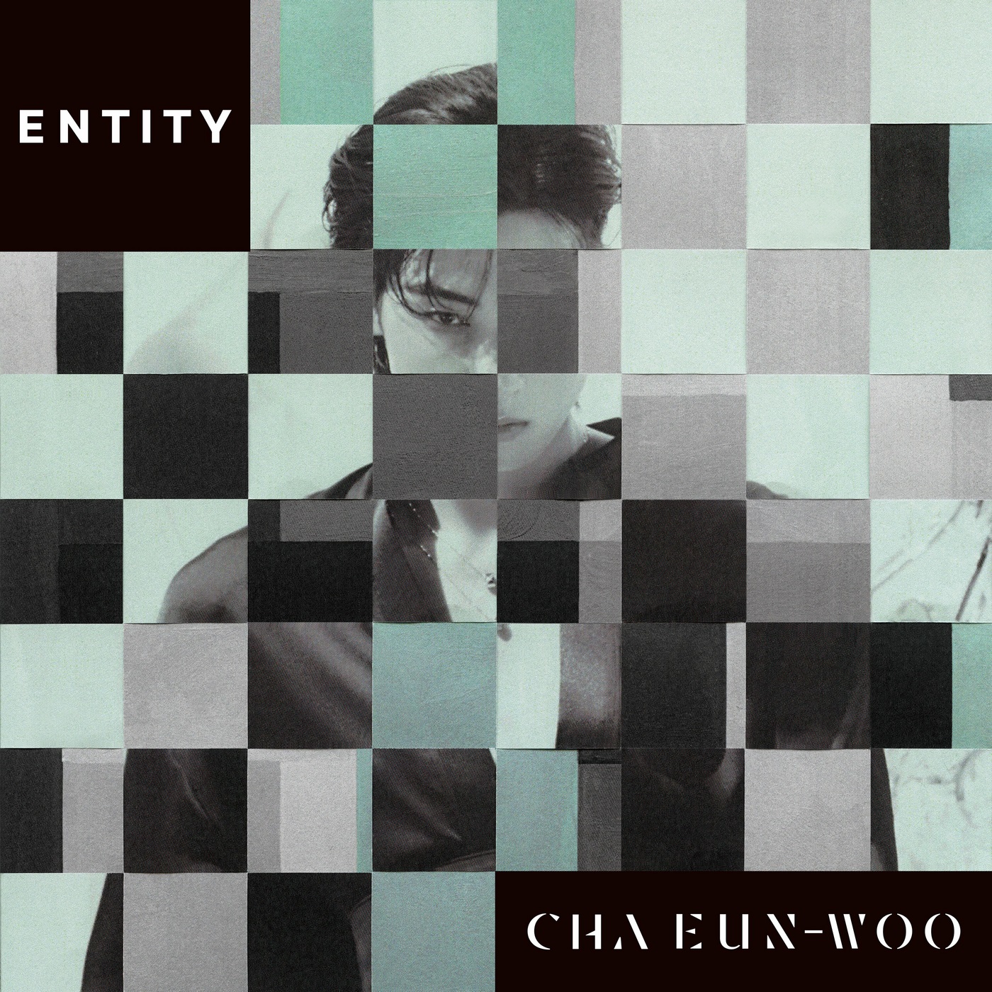  Cha Eun Woo - Fu...ing great time