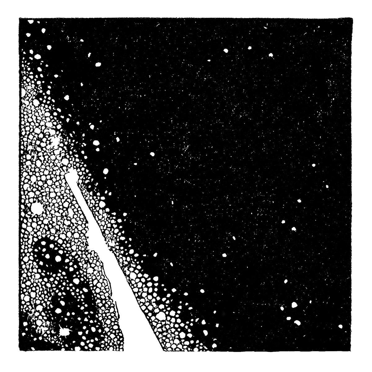  Ivy Lab - Magikess