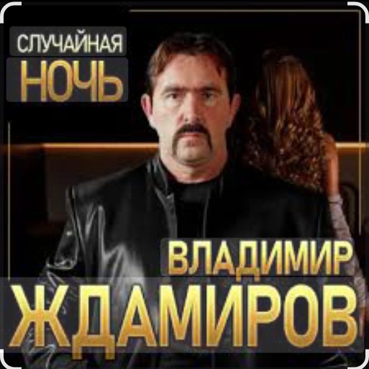  Владимир Ждамиров - Случайная ночь