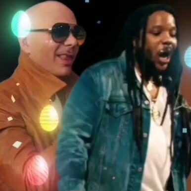  Pitbull feat. Stephen Marley - Options