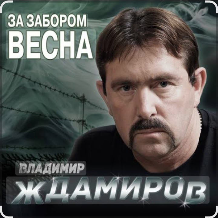  Владимир Ждамиров - За забором весна