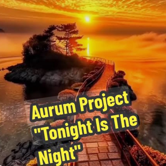  Aurum Project - Tonight Is The Night