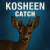 Cover Kosheen - Catch