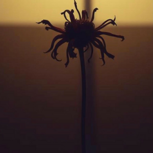  Neytan - Welcome to my mind